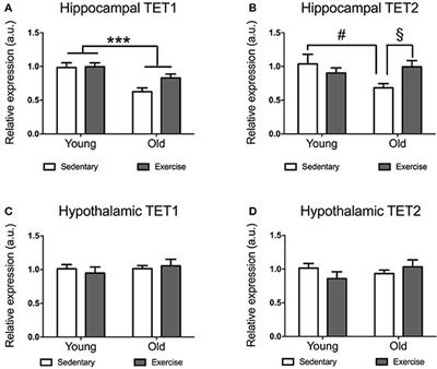 Hippocampal TET1 and TET2 Expression and DNA Hydroxymethylation Are Affected by Physical Exercise in Aged Mice